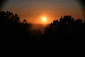 Enlarge photo 254