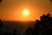 Enlarge photo 255