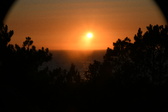 Enlarge photo 256