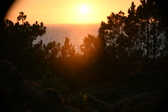 Enlarge photo 257