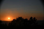 Enlarge photo 258