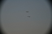 Enlarge photo 261