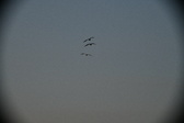 Enlarge photo 265