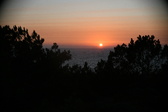 Enlarge photo 266