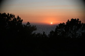 Enlarge photo 267
