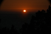 Enlarge photo 268