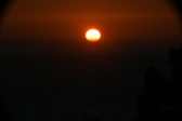 Enlarge photo 271
