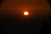 Enlarge photo 272