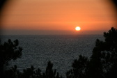 Enlarge photo 273
