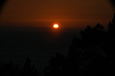 Enlarge photo 274