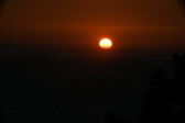Enlarge photo 276