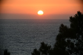 Enlarge photo 277