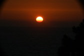 Enlarge photo 278