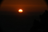 Enlarge photo 279
