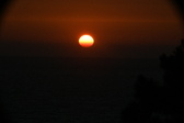 Enlarge photo 280