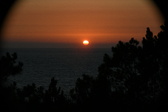 Enlarge photo 284