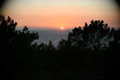 Enlarge photo 285