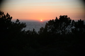 Enlarge photo 286