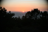 Enlarge photo 287