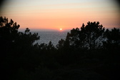 Enlarge photo 288