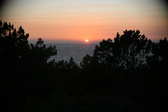 Enlarge photo 289