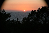 Enlarge photo 290