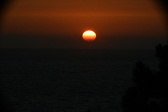 Enlarge photo 291