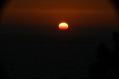 Enlarge photo 292