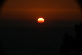 Enlarge photo 294