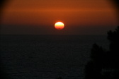 Enlarge photo 295