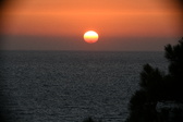 Enlarge photo 296