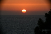 Enlarge photo 297