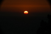 Enlarge photo 298