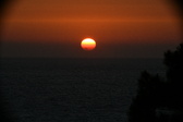 Enlarge photo 299
