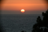 Enlarge photo 301
