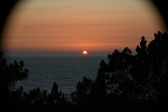 Enlarge photo 302