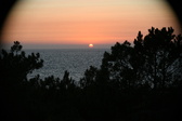 Enlarge photo 303