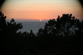 Enlarge photo 304