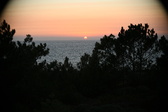 Enlarge photo 305