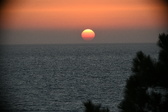 Enlarge photo 306