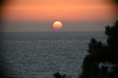Enlarge photo 307