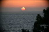 Enlarge photo 308