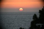 Enlarge photo 309
