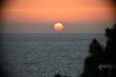 Enlarge photo 310
