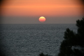 Enlarge photo 311