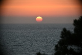 Enlarge photo 312