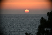 Enlarge photo 313