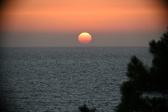 Enlarge photo 314