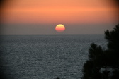 Enlarge photo 315