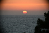 Enlarge photo 316